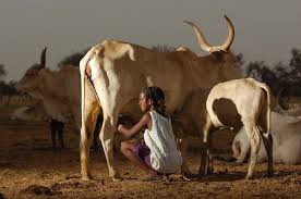 Fulani